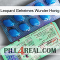 Leopard Secret Miracle Honey new02